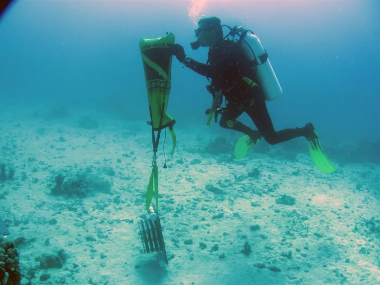 Coral Autonomous reef monitoring system shamal technology